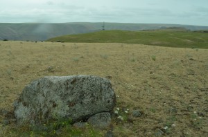"Montana Granite" With Tower in Background
