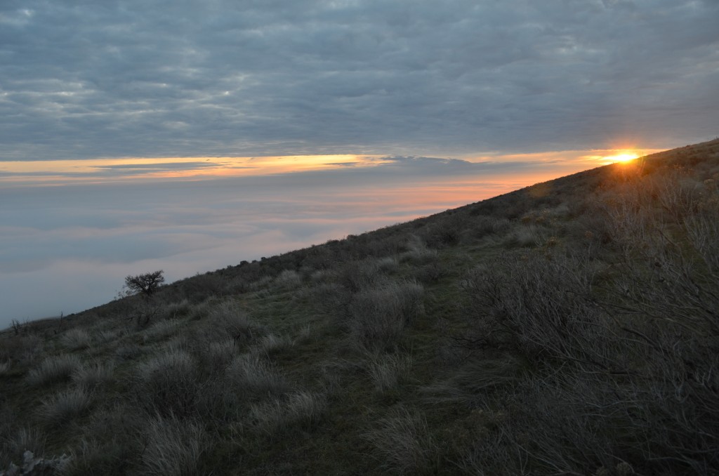 Sun Peeking Over Badger Mountain on the Skyline Trail 02/04/2013