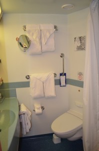 Small Bathroom with Standup Shower but It Works Fine, Carnival Glory cabin #8379