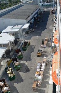 Forklifts Loading Supplies on our Ship, the Carnival Glory