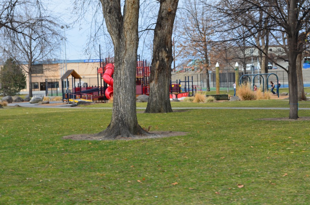 Playground Area at Howard Amon Park