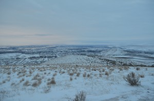 Snow blankets the Tri-Cities (click to enlarge)