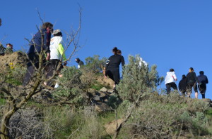 Climbing the Stairs with congestion of hikers and runners