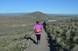 Orchard View Trail