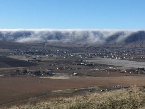 Fog rolling off the Horse Heaven Hills into the Benton City area