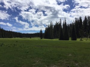 Government Meadows on the Pacific Crest Trail (PCT) at Naches Pass