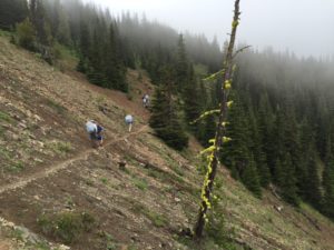 Hiking through the low clouds and fog on the Pacific Crest Trail