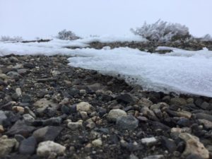 012517 Ice on Top of Badger Mountain