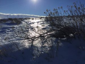 020617 Snow glistens in the sunshine on Badger Mountain Skyline Trail