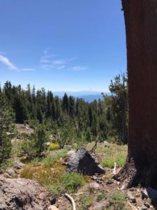 Mt. Adams climb vista from trail 183
