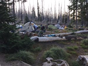 Tents at Cold Springs Campground at Mt. Adams 3