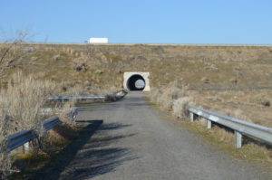 East side of tunnel under I-82 on McNary Tunnel Trail