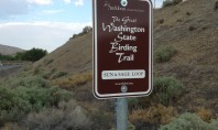 Ten Local Parks are Part of the “Great Washington State Birding Trail”