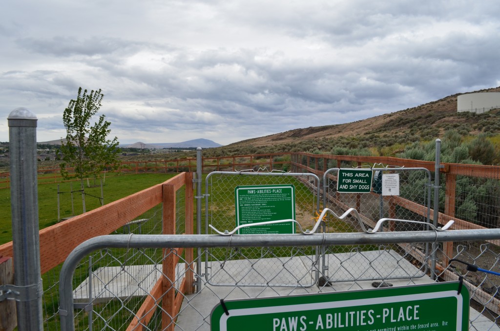 No Leashes Required At Dog Park!