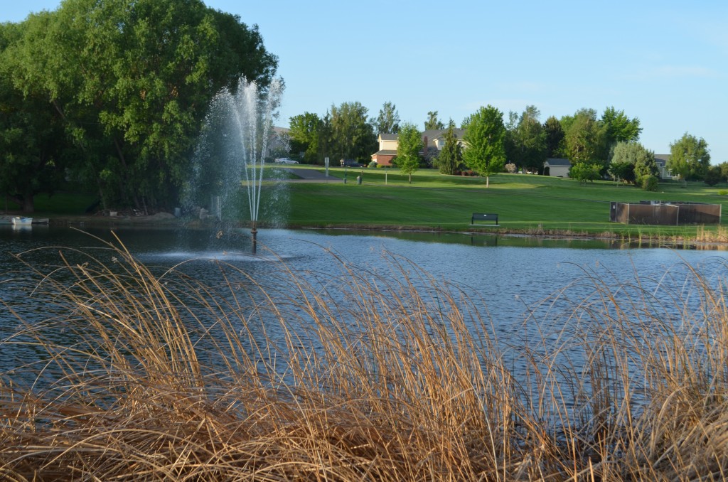 Park at the Lakes Hike – West Richland