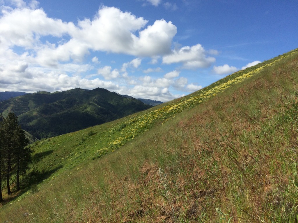 Bonus Hike with Extra Surprise!- Teancum Timbers